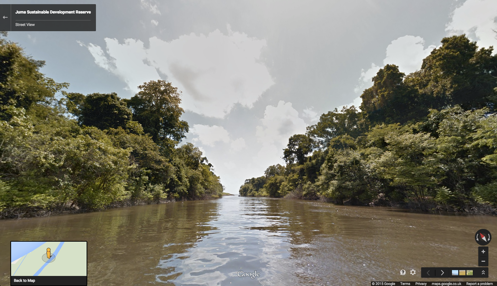 Леса Амазонки Google Street View